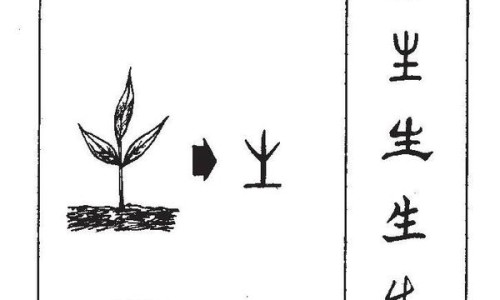 吃醋酸甲羟孕酮片禁忌什么-吃醋酸甲羟孕酮片禁忌网 - 网站提供吃醋酸甲羟孕酮片月经量大怎么办小常识、吃醋酸甲羟孕酮片禁止同房吗